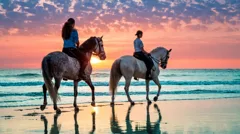 Jazda konna po plaży z Agadiru
