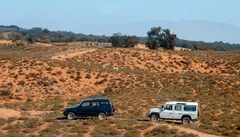 Park Narodowy Souss Massa — z Taghazout