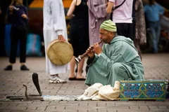Dwudniowa wycieczka do Essaouiry i Marrakeszu z Agadiru