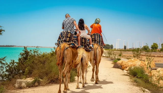 Agadir Camel Ride & Mint Tea