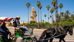 Wycieczka do Marrakeszu z przewodnikiem z Agadiru