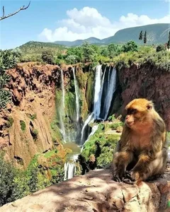 Moroccan Magic: 3-Day Adventure to Essaouira, Marrakech & Ouzoud Falls
