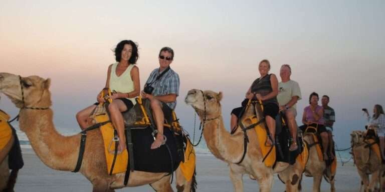 Barbecue Camel Rides