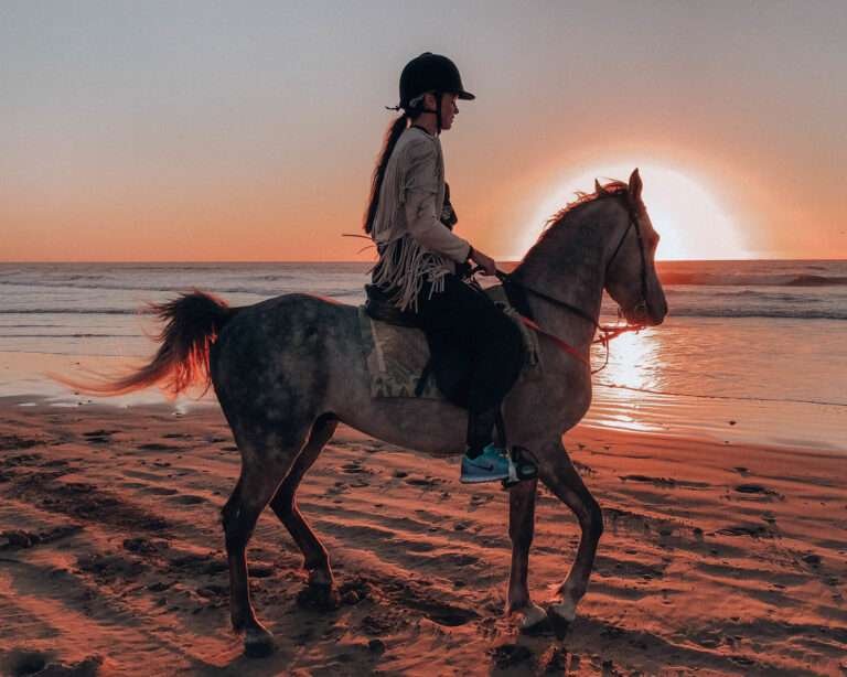 horse ride in taghazoute