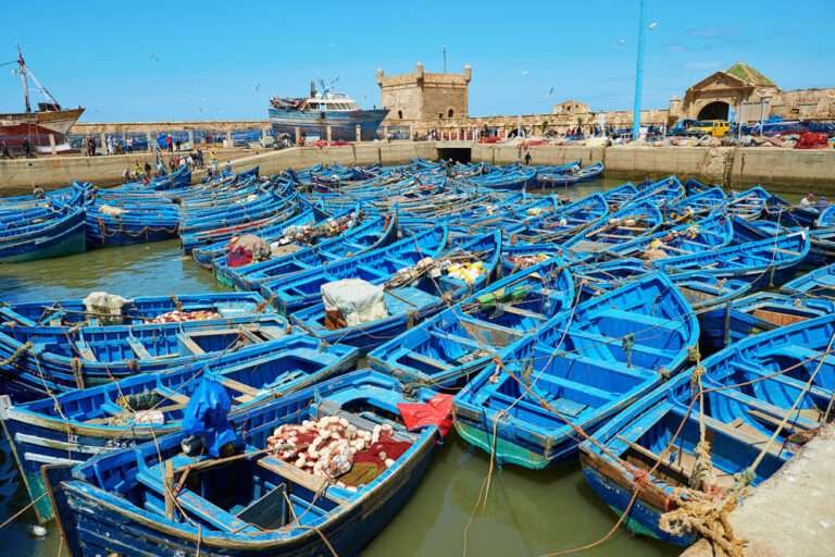 Essaouira day trip